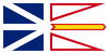 Newfoundland and Labrador Provincial Flag in TrueKolor Wrinkle Free Fabric.