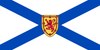 Nova Scotia Provincial Flag in TrueKolor Wrinkle Free Fabric.