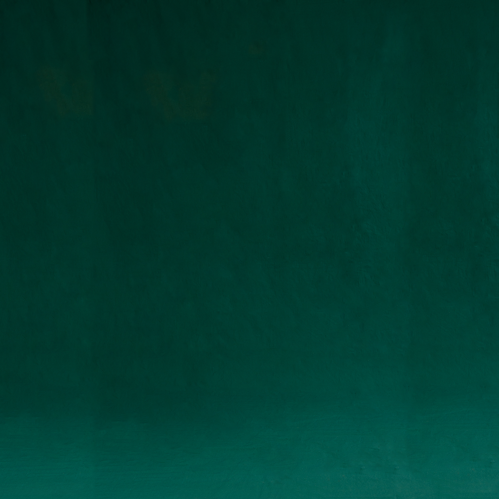 Solid Dark Green Photo Fashion Muslin Background - Backdropsource New Zealand - 1