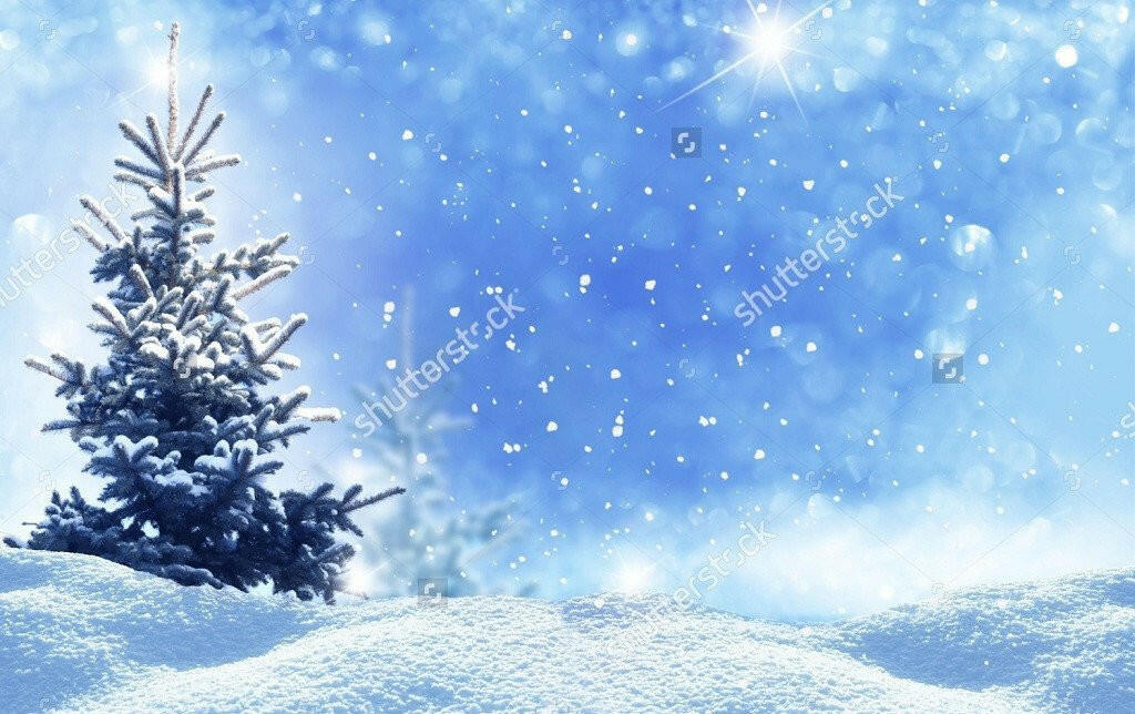 Frozen Tree Blue Glittering Sky  Backdrop.