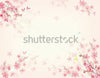Floral Pink Theme  Backdrop.