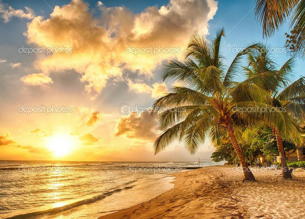 Barbados Shine Summer Theme  Backdrop.