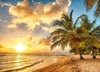 Barbados Shine Summer Theme  Backdrop.