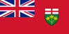 Ontario Provincial Flag in TrueKolor Wrinkle Free Fabric.