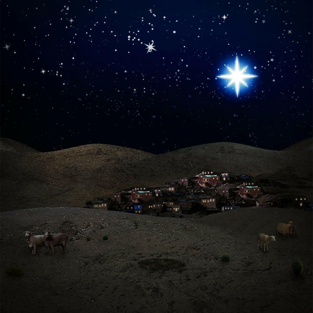 Christmas Bethlehem Night Scene  Backdrop.