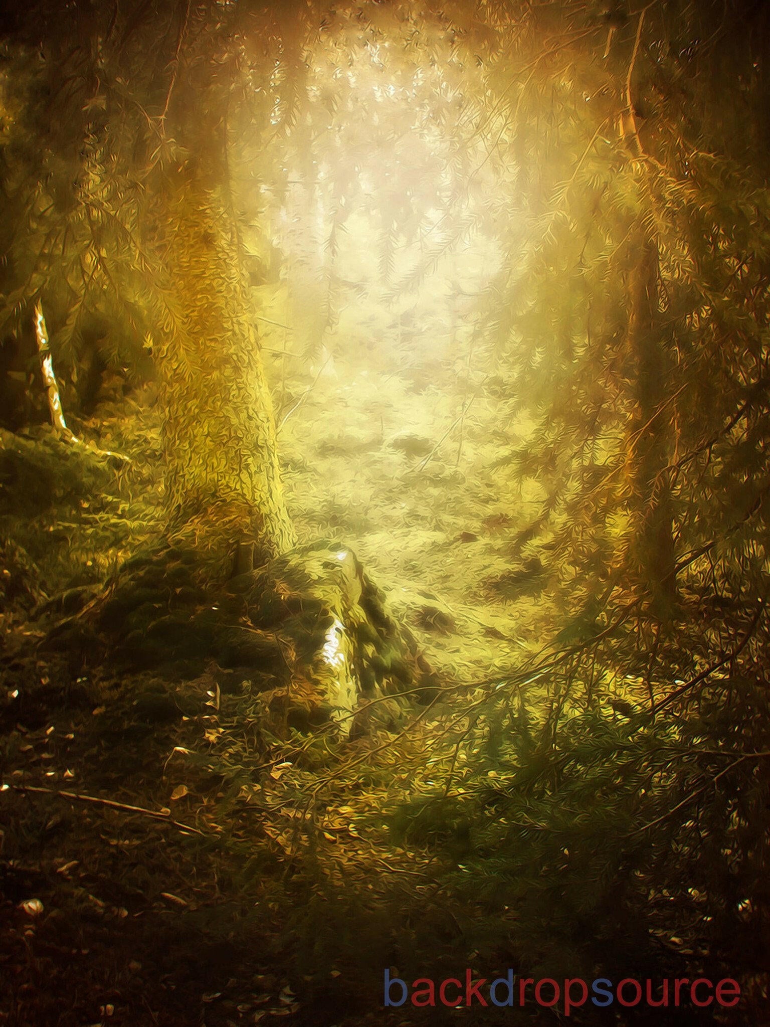 Evening Yellow Fade Forest  Backdrop.