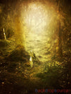 Evening Yellow Fade Forest  Backdrop.