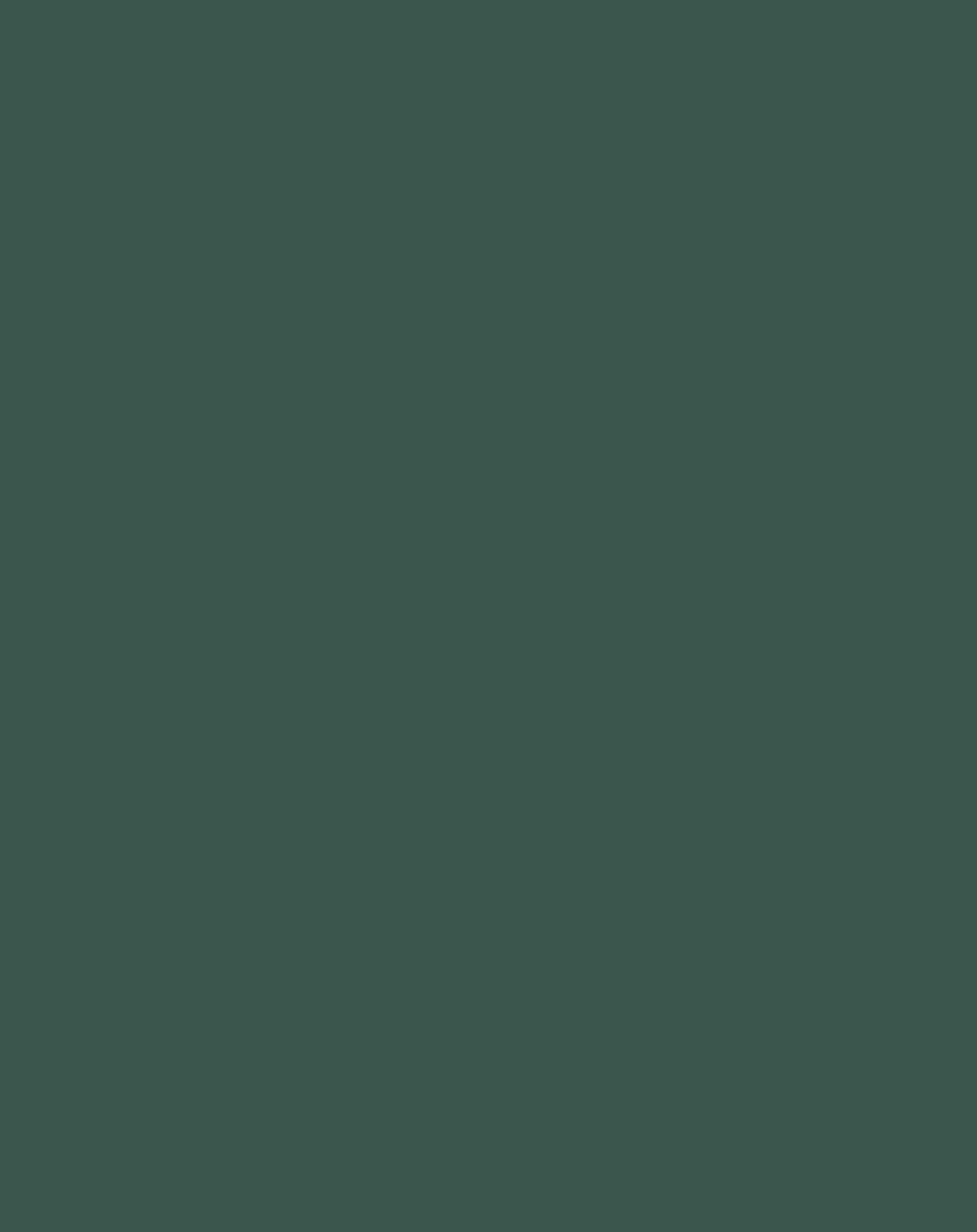 Spruce Green Wrinkle-Resistant Background ideal for professional photography and studio setups, seamless green backdrop.
