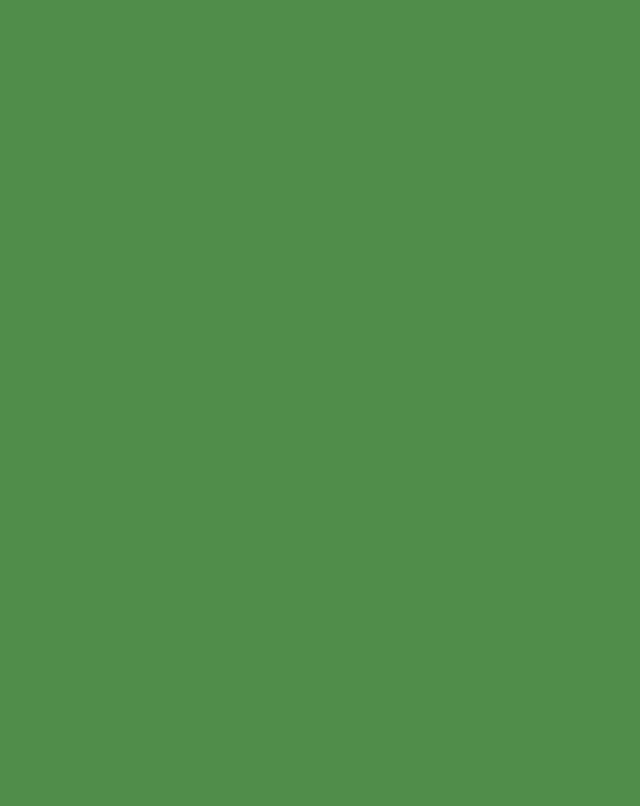 Chromagreen Wrinkle-Resistant Background - Backdropsource New Zealand