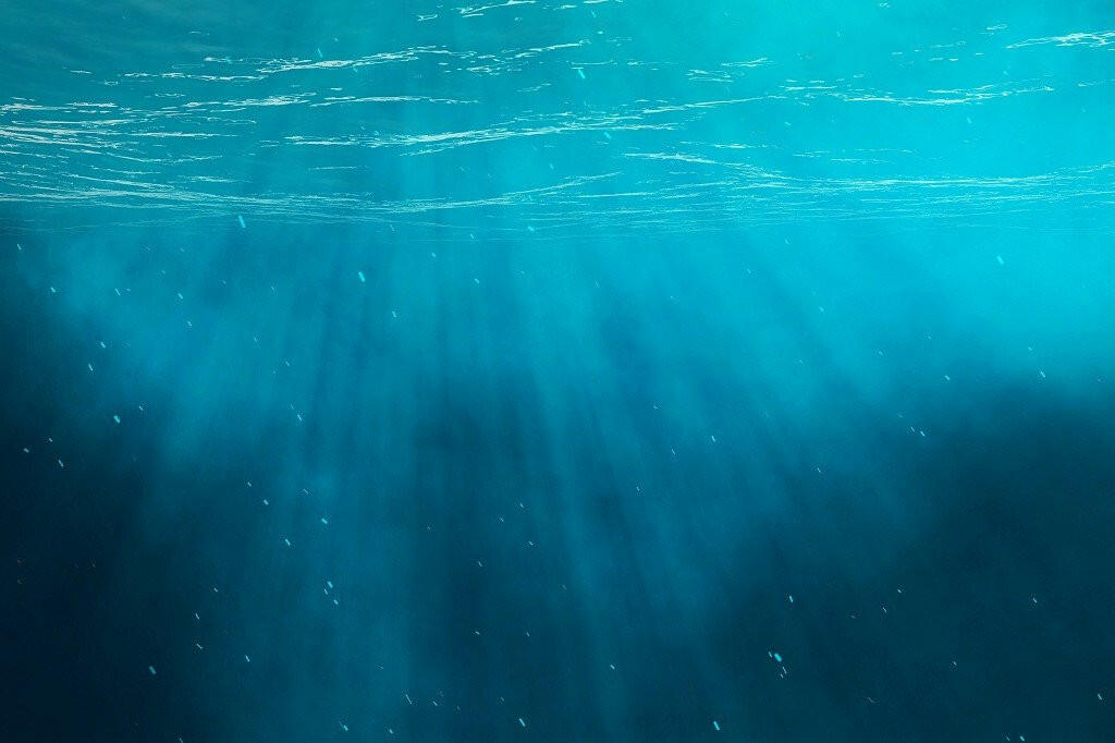Underwater Scene Indelible Print Fabric Backdrop.