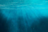 Underwater Scene Indelible Print Fabric Backdrop.