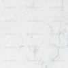 White Marble Texture Indelible Print Fabric Backdrop.