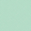 Mini Polka Dots on Mint Green  Backdrop.