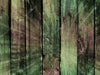 Vintage Coloful Wooden Wall  Backdrop.