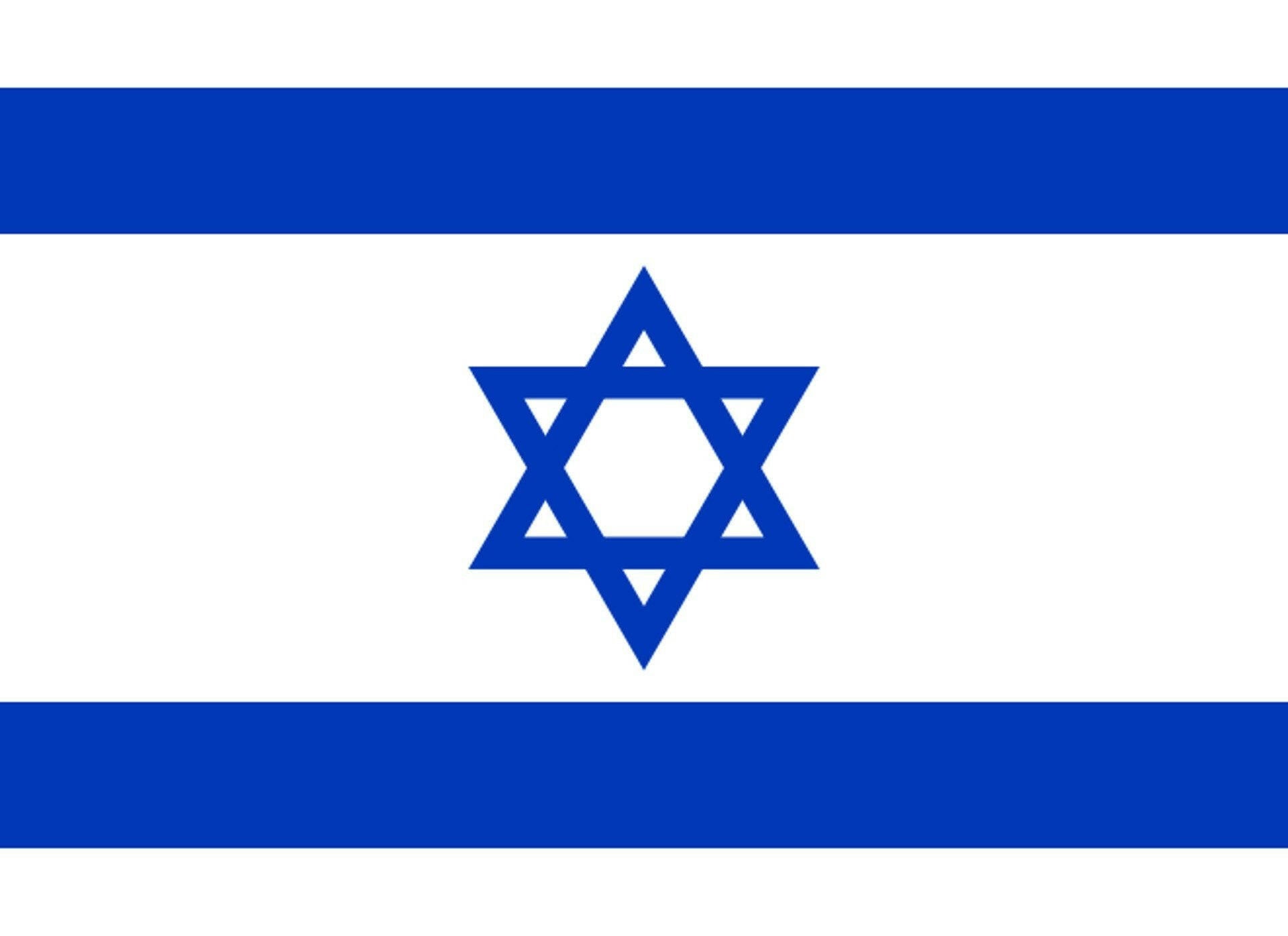 Israel Flag in TrueKolor Wrinkle Free Fabric.