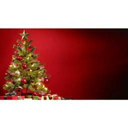 Majestic Red Photography Christmas  Backdrop.