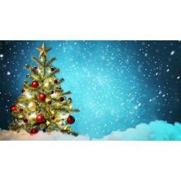 Snowy Blue Photo Christmas  Backdrop.
