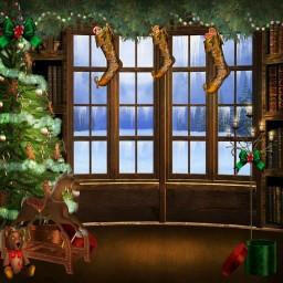 Snowy Outview Photo Christmas  Backdrop.