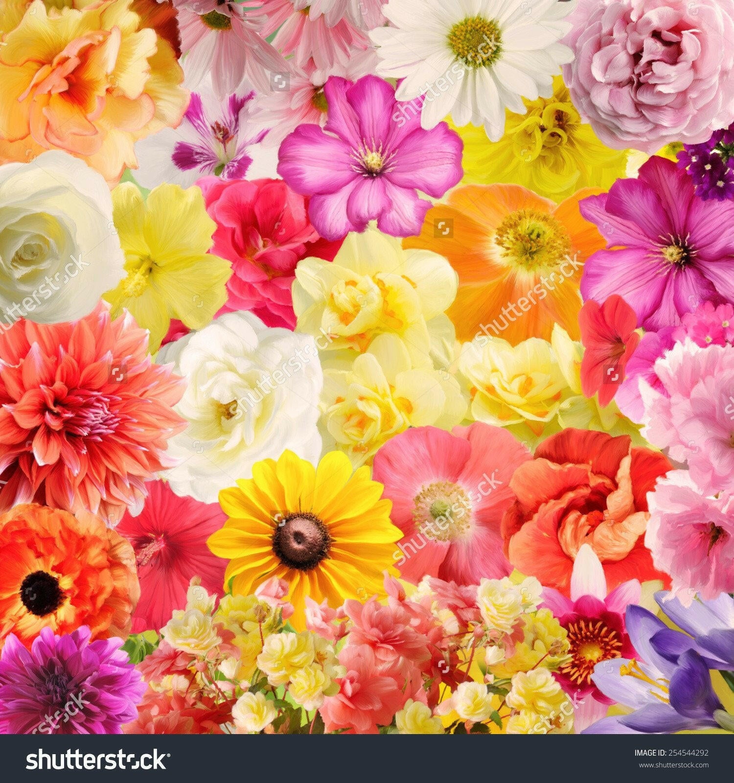 Digital Painting of Colourful Floral  Backdrop.
