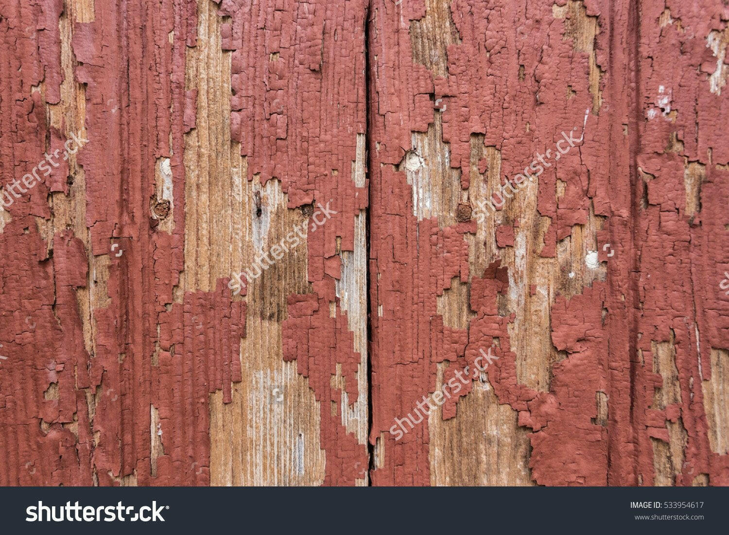 Rustic Red Door  Backdrop.