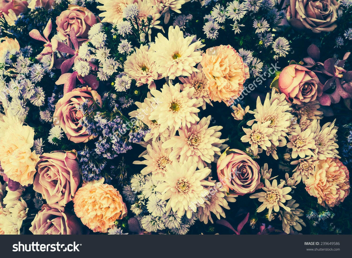 Vintage Old Flower  Backdrop.