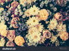 Vintage Old Flower  Backdrop.