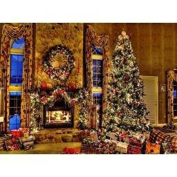 Toon Tree Photography Christmas  Backdrop.