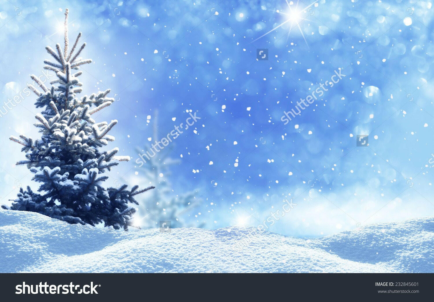 Winter Christmas Landscape Indelible Print Fabric Backdrop.