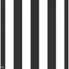 Black and White Vertical Stripes  Backdrop.