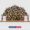 3x6m Petal Wall Booth Kit with 2 Oval Counters