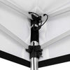 Lighted Canopy Tent Frame