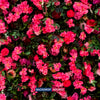 Artificial Floral Event Wall Backdrop – Style 65