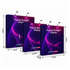 Fabric Popup Straight Backwall Kit with Clamping Lights