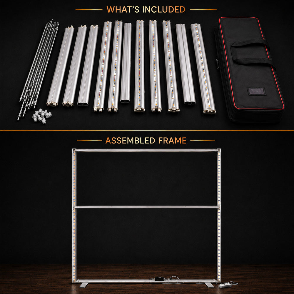 SEG Frameless Fabric LED Light Box Display - 2.5m W x 2.5m H