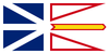 Newfoundland and Labrador Provincial Flag in TrueKolor Wrinkle Free Fabric