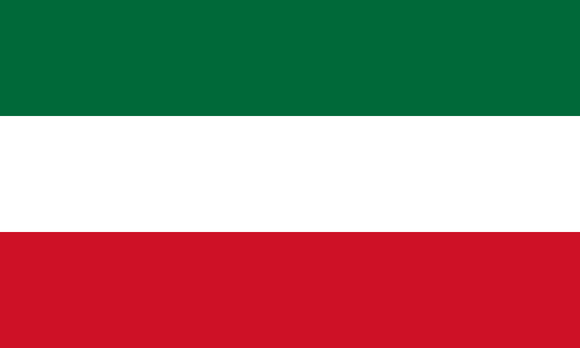 Patriote Flag in TrueKolor Wrinkle Free Fabric