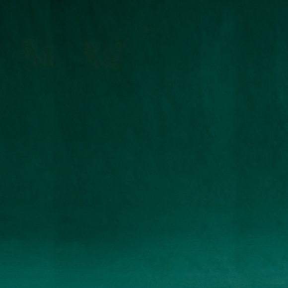 Solid Dark Green Photo Fashion Muslin Background - Backdropsource New Zealand - 1