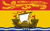 New Brunswick Provincial Flag in TrueKolor Wrinkle Free Fabric