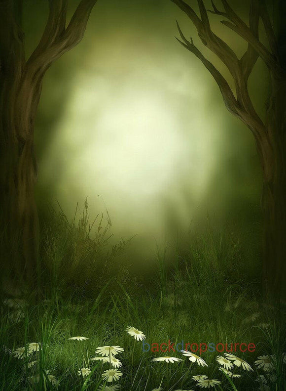 Seaweed Green Light in Forest Print Photography Backdrop