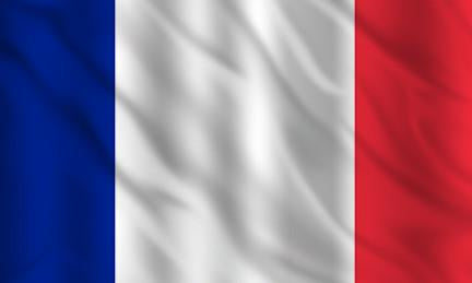 France Country Flag in TrueKolor Wrinkle Free Fabric