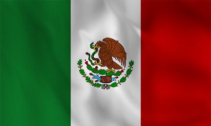 Mexico Country Flag in TrueKolor Wrinkle Free Fabric