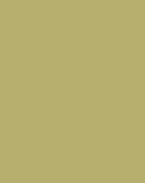 Tropical Green Wrinkle-Resistant Background - Backdropsource New Zealand