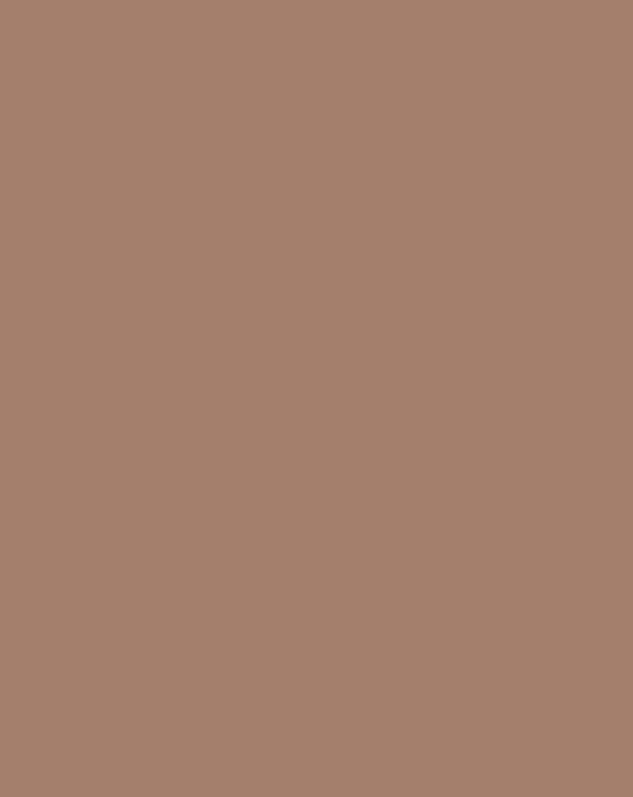 Hazelnut Wrinkle-Resistant Background - Backdropsource New Zealand