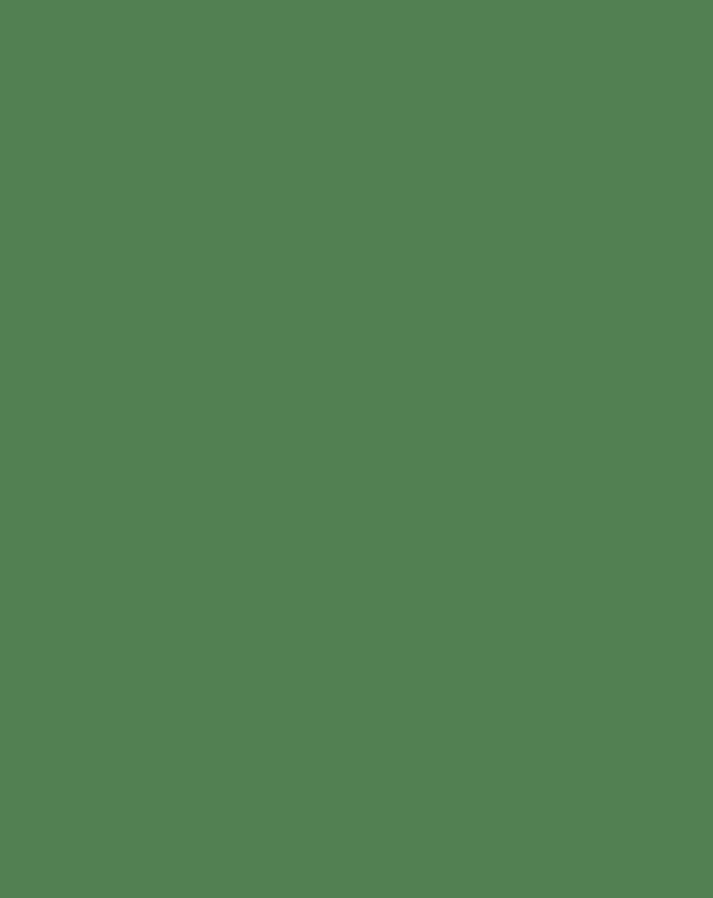Apple Green Wrinkle-Resistant Background - Backdropsource New Zealand