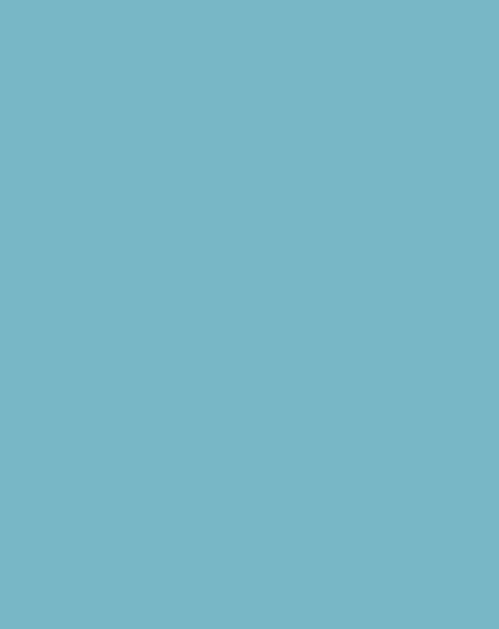 Larkspur Wrinkle-Resistant Background - Backdropsource New Zealand