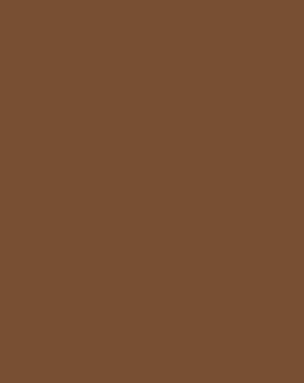 Chestnut Wrinkle-Resistant Background - Backdropsource New Zealand