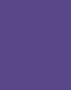 Royal Purple Wrinkle-Resistant Background - Backdropsource New Zealand
