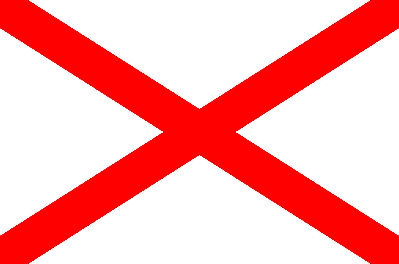 St Patrick's Cross Flag in TrueKolor Wrinkle Free Fabric