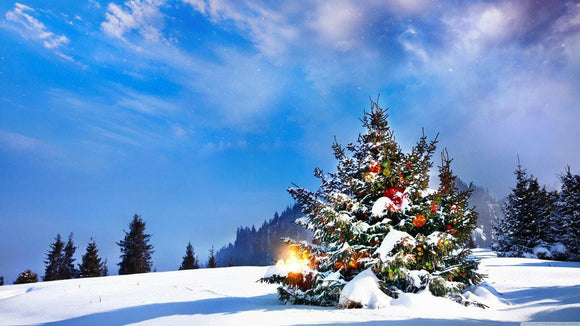 Snow Photography Christmas  Backdrop.