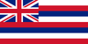 Hawaii State Flag in TrueKolor Wrinkle Free Fabric